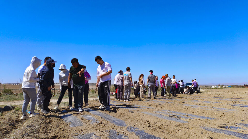走进田园 播种希望|腾博官网物流春种团建活动
