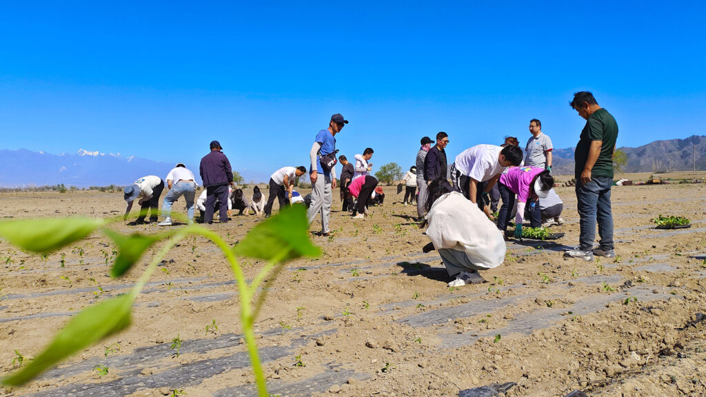 走进田园 播种希望|腾博官网物流春种团建活动