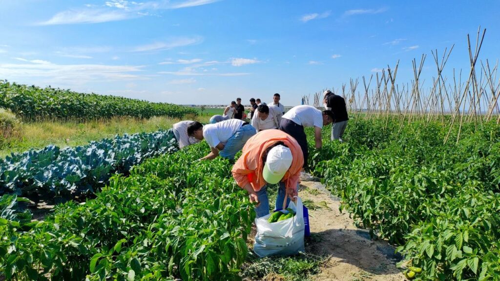 夏日最美群像 | 腾博官网物流2024年中团建特辑