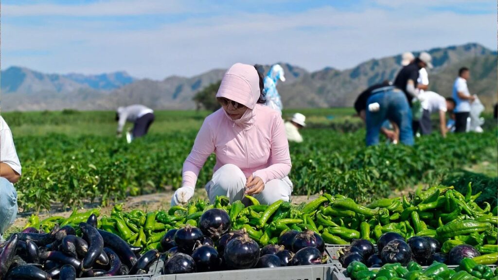 夏日最美群像 | 腾博官网物流2024年中团建特辑